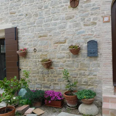 Vigna Della Ripa Lantgård *