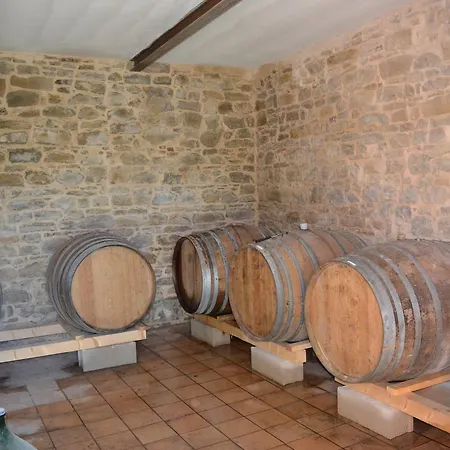 Lantgård Vigna Della Ripa Cupramontana