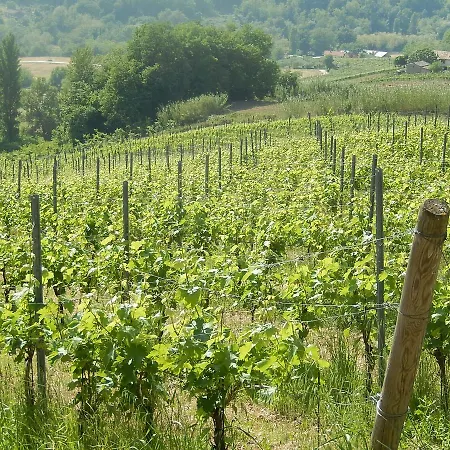 Lantgård Vigna Della Ripa