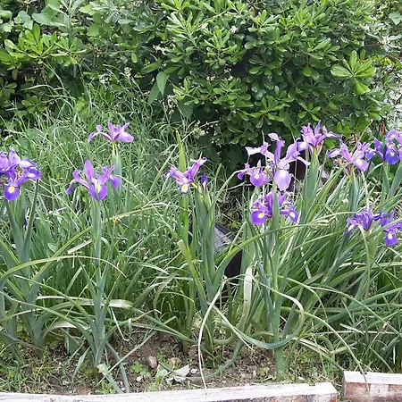 Vigna Della Ripa Lantgård *