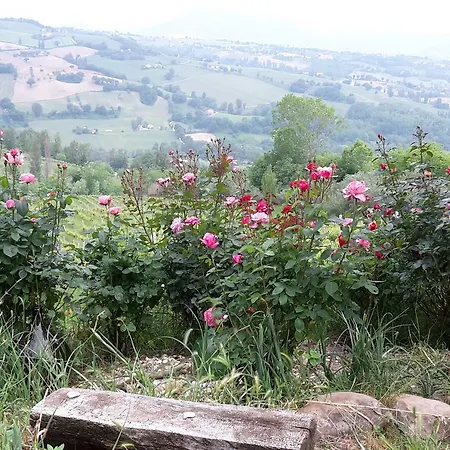 Lantgård Vigna Della Ripa