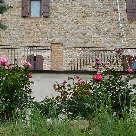 Vigna Della Ripa Lantgård Cupramontana