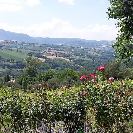 Vigna Della Ripa Lantgård