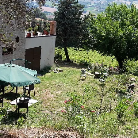 Lantgård Vigna Della Ripa