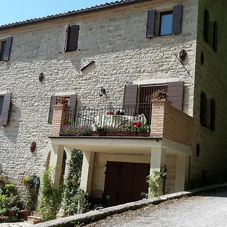 Vigna Della Ripa Lantgård Cupramontana