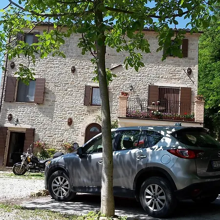 Vigna Della Ripa *