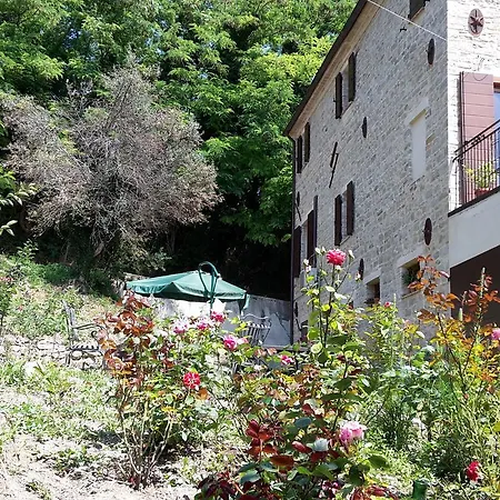 Vigna Della Ripa Lantgård